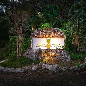Pineapple Fields Aparthotel